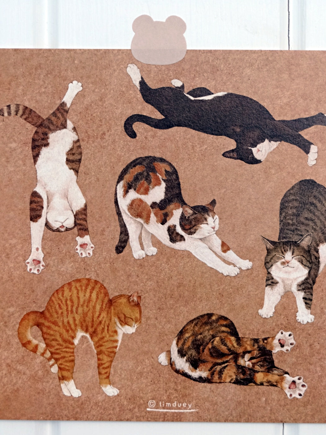 Carte postale carrée Chats