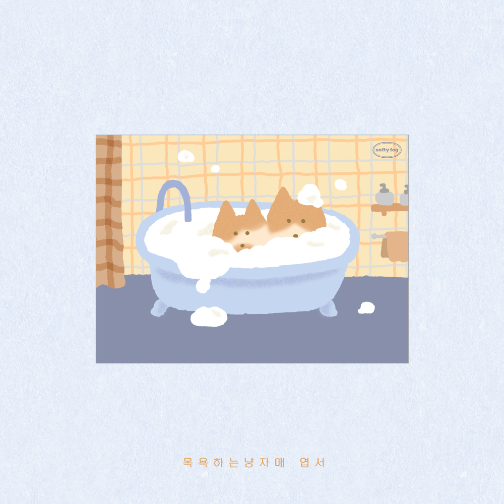 Carte postale Bath Cats