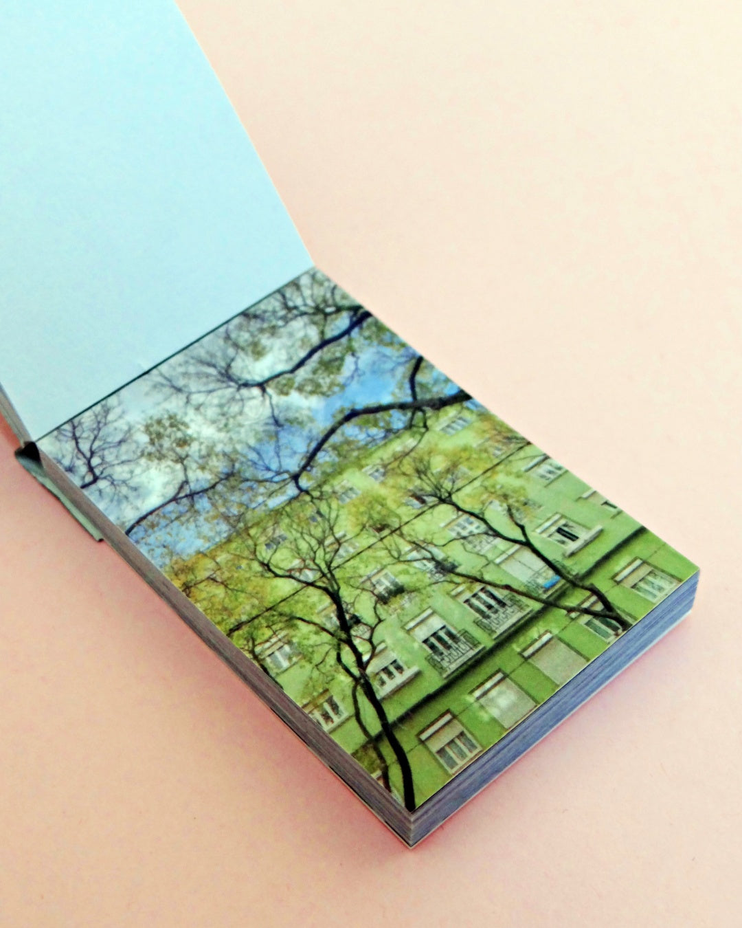 Carnet à Stickers Washi Paper