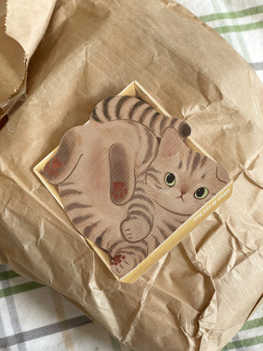 Sticker Repositionnable Tabby Cat in Box