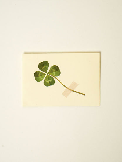 Set de correspondance Mini Clover