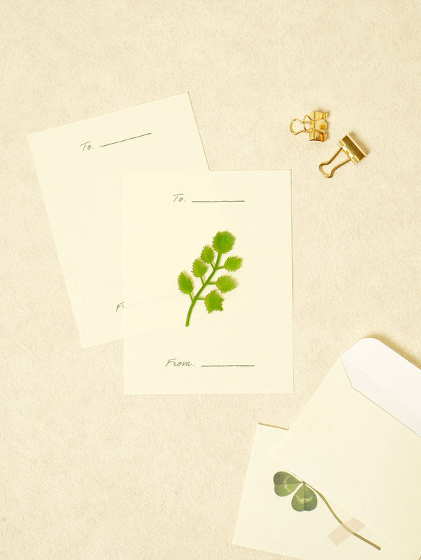 Set de correspondance Mini Clover