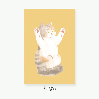 Cartes postales illustrées Chats (22 types)