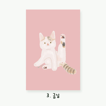 Cartes postales illustrées Chats (22 types)