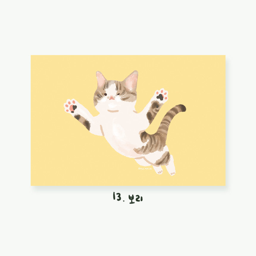 Cartes postales illustrées Chats (22 types)