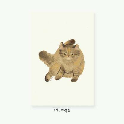 Cartes postales illustrées Chats (22 types)