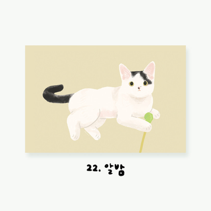 Cartes postales illustrées Chats (22 types)