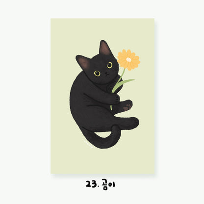Cartes postales illustrées Chats (22 types)