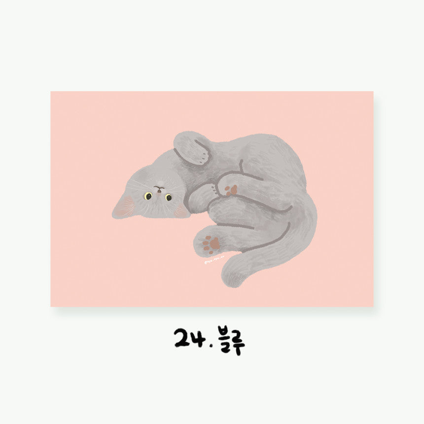 Cartes postales illustrées Chats (22 types)