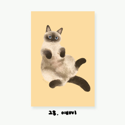 Cartes postales illustrées Chats (22 types)