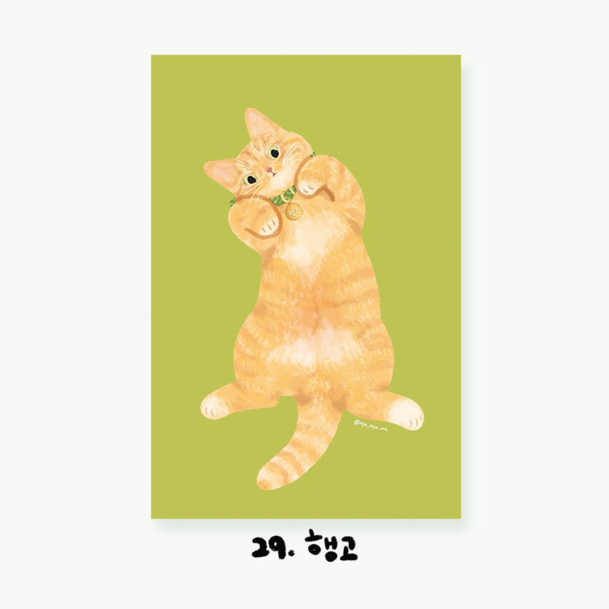 Cartes postales illustrées Chats (22 types)