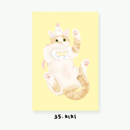 Cartes postales illustrées Chats (22 types)