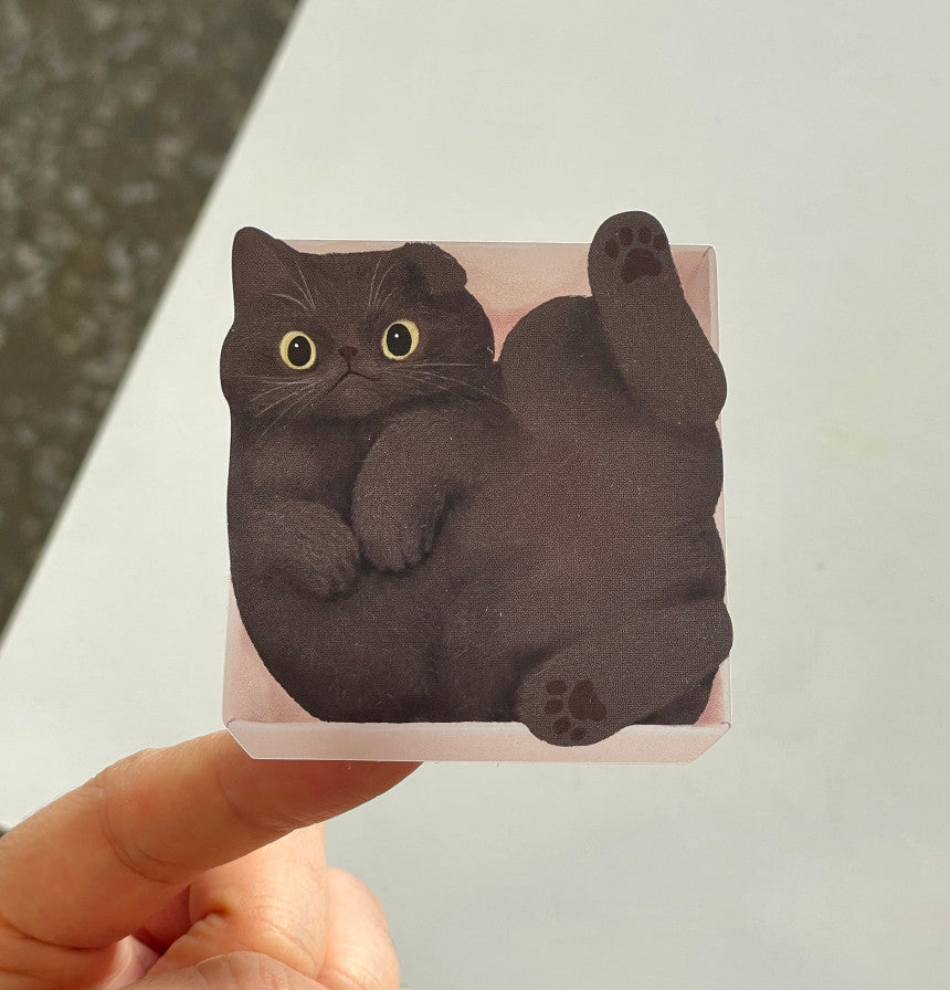 Sticker Repositionnable Black Cat in Box