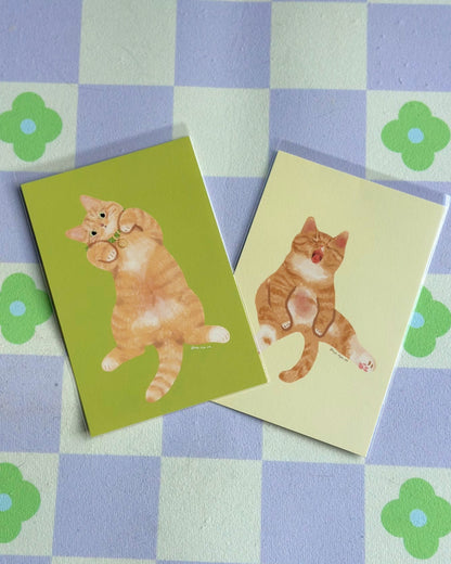 Cartes postales illustrées Chats (22 types)